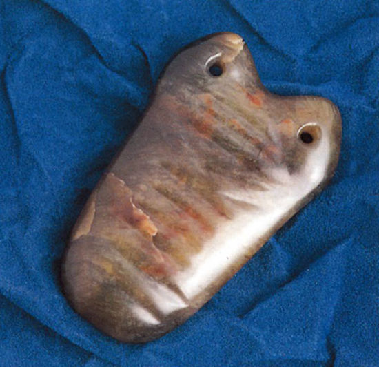 dvubb 图片点击可在新窗口打开查看